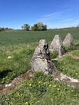 IMG_6251