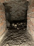 IMG_6271