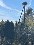 e8423747-f8bf-4313-9604-6eebc7929476