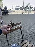 IMG_6336