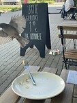IMG_6339
