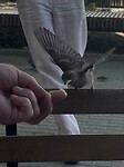 IMG_6362