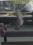 IMG_6361
