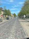 IMG_6375