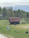 IMG_6391