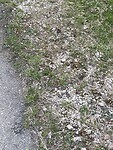 IMG_6396