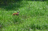 IMG_6403