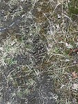 IMG_6402