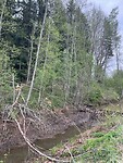 IMG_6405