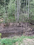 IMG_6406