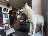 IMG_6411