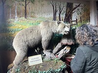 IMG_6410