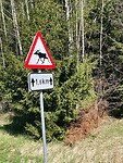 IMG_6413