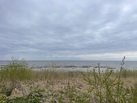 IMG_6424