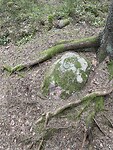 IMG_6434