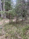 IMG_6439