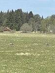 IMG_6452