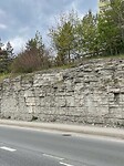 IMG_6487