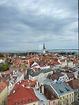IMG_6465