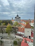 IMG_6467