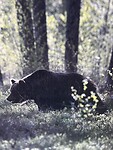 IMG_6497
