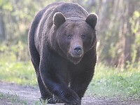 IMG_6501