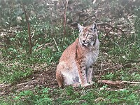 IMG_6502