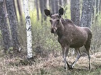 IMG_6503