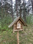 IMG_6507