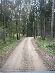 IMG_6516