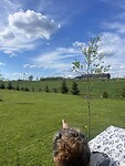 IMG_6523