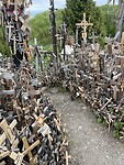 IMG_6565