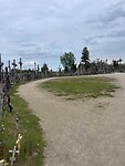 IMG_6563