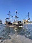 IMG_6604