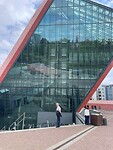IMG_6647
