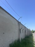 IMG_6675