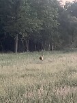 IMG_6711
