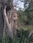 IMG_6715