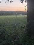 IMG_6716