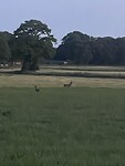 IMG_6726