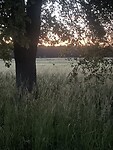 IMG_6731