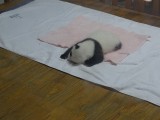 min 20 dagen oude panda (dan worden ze zwart/wit)