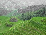 Longji rijstterrassen