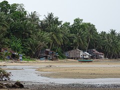 Local beach ( nummer 251 op de lijst )