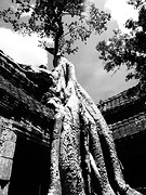 tomb raider boom