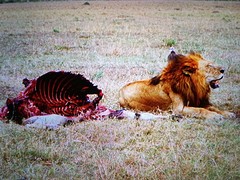 IMG_20161230_212214