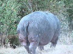 IMG-20161230-WA0011