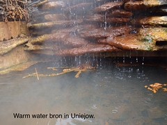 Uniejow