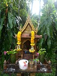 Khao Sok, National Park