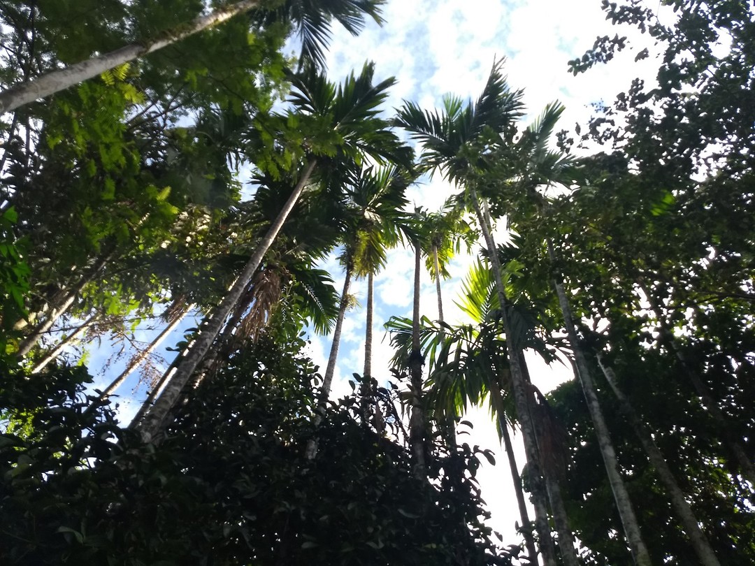 Khao Sok